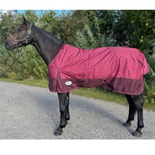 AB Regndækken Colour 50 gram 